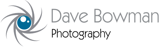 Dave Bowman - Website